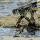 Illustration for article titled Santa Barbara Still Reeling From the Worst Oil Spill in Decades